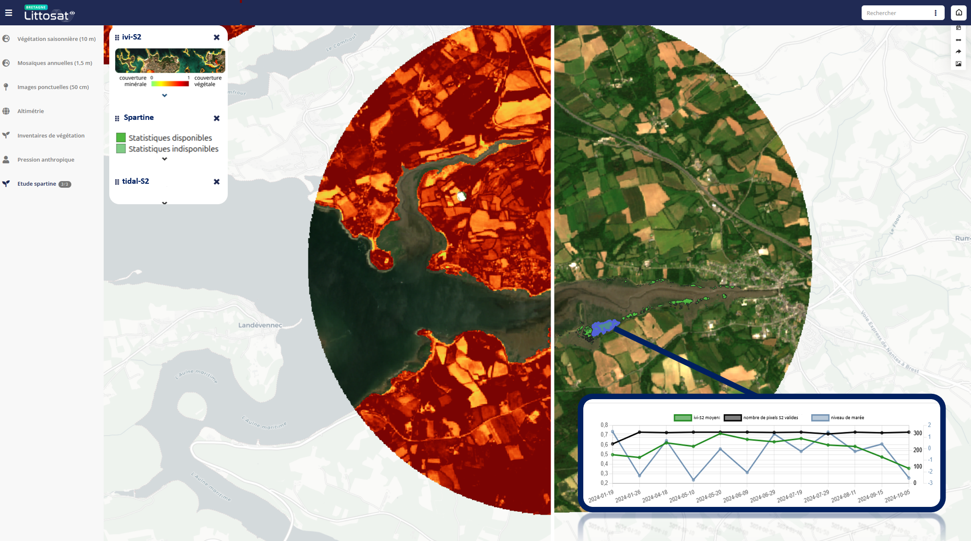 Monitoring an invasive foreshore species using the Littosat satellite 